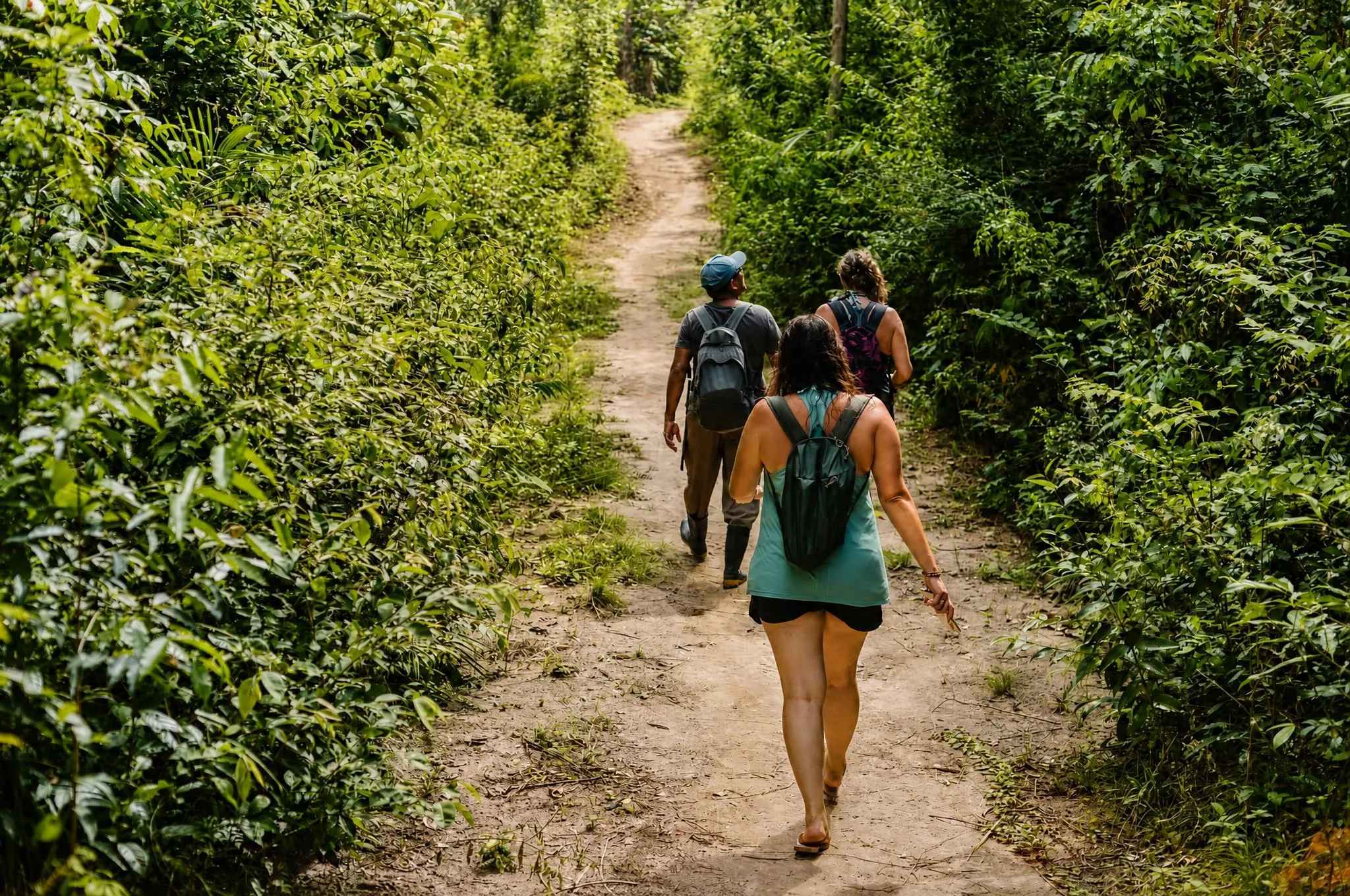 Three people walking away from the camera along a sandy forest track, dense green vegetation pressing in on both sides