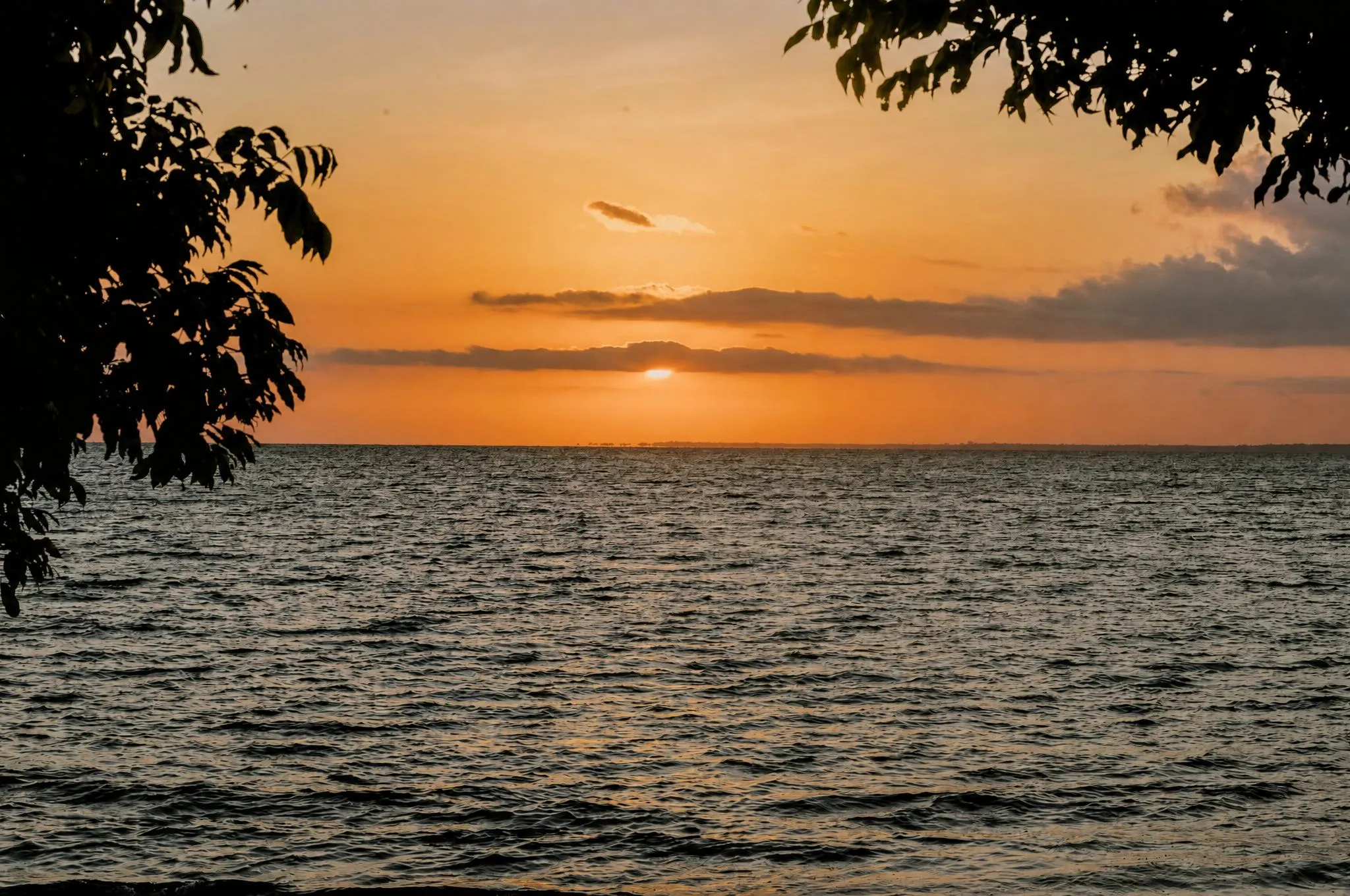 Sun setting behind low clouds over the rippled water of the river, framed by branches in silhouette